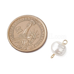 Liens de pépites de perles de coquillage électroplaquées&nbsp;PALLOY-JF04646-01
