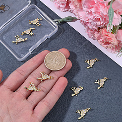 10 pièces en laiton micro pavé pendentifs en zircone cubique claire&nbsp;KK-BBC0024-49