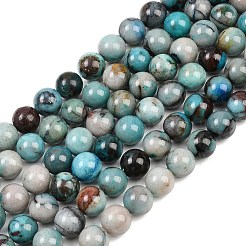 Natur Chrysokoll Perlen Stränge&nbsp;G-K405-B01-10mm