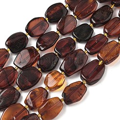 Perline ambra naturale fili&nbsp;G-L095-C01-03