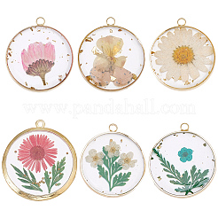 12 pièces 6 styles pendentifs en résine époxy transparente transparente&nbsp;RESI-SC0036-60A