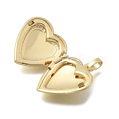 Herz-Medaillon-Anhänger aus Messing zum Valentinstag&nbsp;KK-D431-035I-G