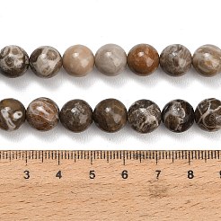 Natürlichen fossilen Korallenperlen Stränge&nbsp;G-C288-A01-10mm