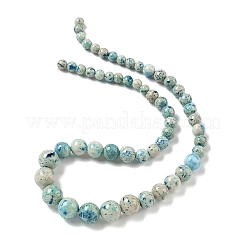 Rangs de perles fossiles naturelles de taille graduée&nbsp;G-F830-A03-01E