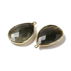 Pendentifs en labradorite naturelle facetée&nbsp;X-G-M356-B02-LG