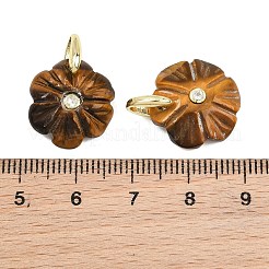 Ciondoli d'occhio di tigre naturale&nbsp;GG-NH0016-01G-07