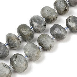 Natur Labradorit Perlen Stränge&nbsp;G-F796-B04-01