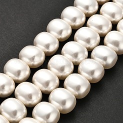 Chapelets de perles de coquille&nbsp;BSHE-F013-01A