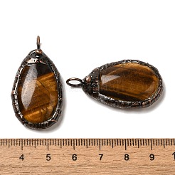Ciondoli d'occhio di tigre naturale&nbsp;G-K381-05R-06