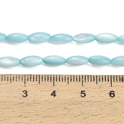 Natürlichen Süßwasser-Muschelperlen Stränge&nbsp;SHEL-C010-01C