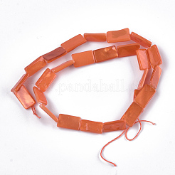 Perles de coquille d'eau douce peintes&nbsp;SHEL-T010-04C