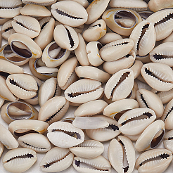 100 Stück natürliche Kauri-Muschelperlen.&nbsp;BSHE-LT0001-08