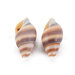 Perles de coquillage en spirale naturelle&nbsp;SSHEL-T014-46