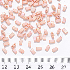 Perles de verre à peinture cuite à 2 trou fgb&nbsp;X-SEED-S031-M-596