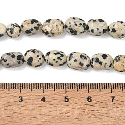Natur Dalmatiner Jaspis Perlen Stränge&nbsp;G-C286-A09