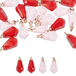10pcs 2 couleurs pendentifs en résine transparente&nbsp;RESI-FP0001-40