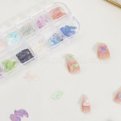 1 set di 12 fette di conchiglia colorate&nbsp;MRMJ-SP0001-05B