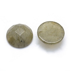 Cabochon di labradorite naturale&nbsp;G-P393-P06-14.5mm