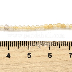 Stränge aus natürlichen Citrinperlen (erhitzt)&nbsp;G-G259-D03-2mm