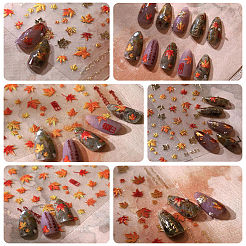 Nagelkunstaufkleber für Haustiere mit Ahornblattmuster&nbsp;MRMJ-WH20816-001A
