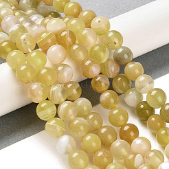 Chapelets de perles en agate à rayures naturelles/agates à bandes&nbsp;G-Z060-A01-B20