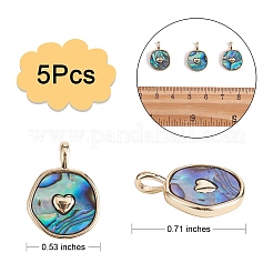 5 Stück natürliche Abalone-Muschel/Paua-Muschel-Anhänger&nbsp;KK-SZ0002-38A