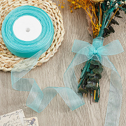 1 rotolo di nastro di organza trasparente&nbsp;SRIB-CY0001-22A-06