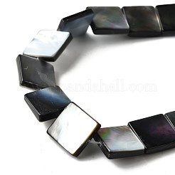 Naturali labbro nero perline shell fili&nbsp;BSHE-D300-07-12mm