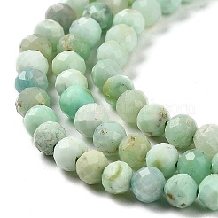 Natürlichen grünen Opal Perlen Stränge&nbsp;G-Z035-A02-03E