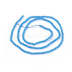 Abalorios de vidrio transparente hebras&nbsp;GLAA-F094-A02