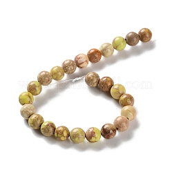 Brins de perles de jaspe impérial/régalite naturelle teintée/jaspe sédimentaire marin&nbsp;G-B124-C01-08