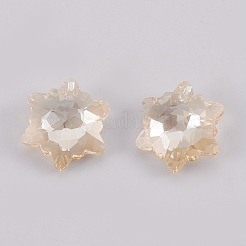 K9 pendenti di strass di vetro&nbsp;GLAA-F083-03C