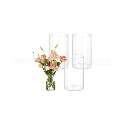 Vase hydroponique en verre transparent&nbsp;AJEW-WH0348-441B