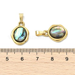Natur Paua Muschel Anhänger&nbsp;PALLOY-JF05608