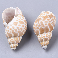 Naturspirale Muschelperlen&nbsp;SSHEL-N035-01