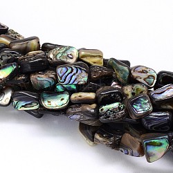 Naturelles Paua brins de perles, pépites, colorées, 10~16x6~9x4~6mm, Trou: 1mm, environ 15.7 pouce
