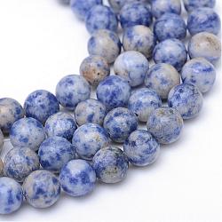 Brins de perles de jaspe tache ronde naturelle tache bleue naturelle, 10~11mm, Trou: 1mm, Environ 37 pcs/chapelet, 15 pouce