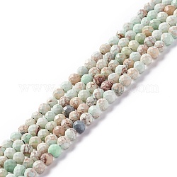 Fili di perle di diaspro imperiale naturale, tinto, sfaccettato, tondo, ciano chiaro, 3~3.5mm, Foro: 0.7~0.8 mm, circa 126~137pcs/filo, 15.24~15.39 pollice (38.7~39.1 cm)