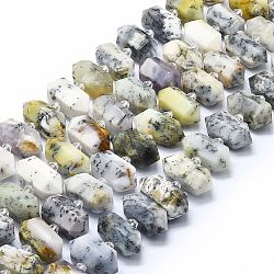Blanc naturel opale africain perles brins, facette, pointu/puce à double terminaison, 20~31x12~14x10~13mm, Trou: 1.8mm, Environ 23~24 pcs/chapelet, 15.55 pouce (39.5 cm)