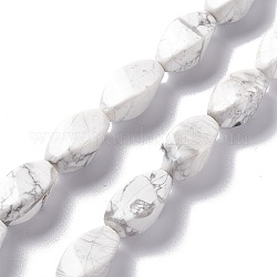 Chapelets de perles en howlite naturelle, torsion, 17x8x8mm, Trou: 1mm, Environ 24 pcs/chapelet, 15.55'' (39.5 cm)