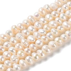 Hebras de perlas de agua dulce cultivadas naturales, patata, grado a +, PapayaWhip, 5~7x5~6mm, agujero: 0.6 mm, aproximamente 65 pcs / cadena, 13.58 pulgada (34.5 cm)