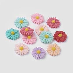 Resin Cabochons, Chrysanthemum Flower, Mixed Color, 22x7mm