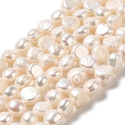 Hebras de perlas de agua dulce cultivadas naturales, dos lados pulidos, grado 3a+, PapayaWhip, 6.5~7x7~8x4.5~5.5mm, agujero: 0.6 mm, aproximamente 51 pcs / cadena, 13.58~13.78 pulgada (34.5~35 cm)