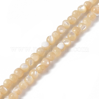 Wholesale Natural Trochid Shell/Trochus Shell Beads Strands