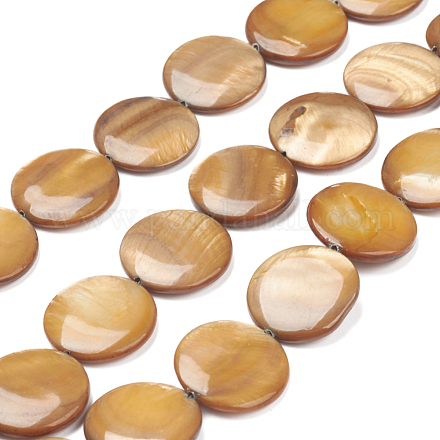 Shell perle naturali di acqua dolce X-BSHE-I011-01A-01-1