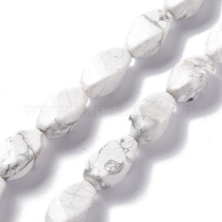 Natürliche Howlith Perlen Stränge G-L243A-21-1