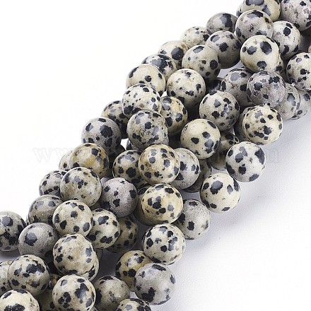 Chapelets de perles en jaspe dalmatien naturelle X-GSR10mmC004-1