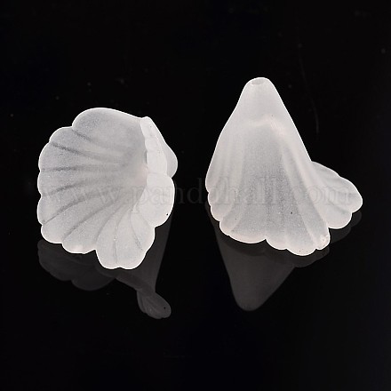 Perles transparentes mates de fleurs en acrylique X-PL551-1