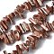 Dyed Natural Trochus Shell Beads Strands, Nuggets, Sienna, 9~21x5~7x6~8mm, Hole: 1.2mm, about 54~67pcs/strand, 14.76~15.24 inch(37.5~38.7cm)