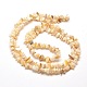 Chapelets de perles de copeaux de coquille d'eau douce naturels G-M205-20-2